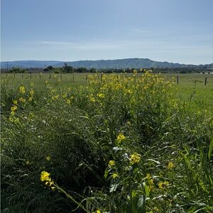 Meet your Posher, Faith